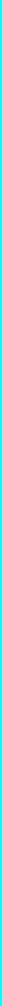 wp062537d5_0f.jpg